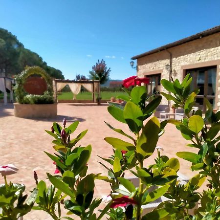 Il Pianaccio Villa Spoleto Ngoại thất bức ảnh
